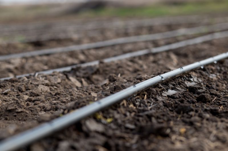 Irrigation Service in Honolulu, HI
