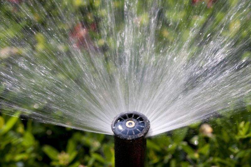 Irrigation Winterization in Carson City, NV