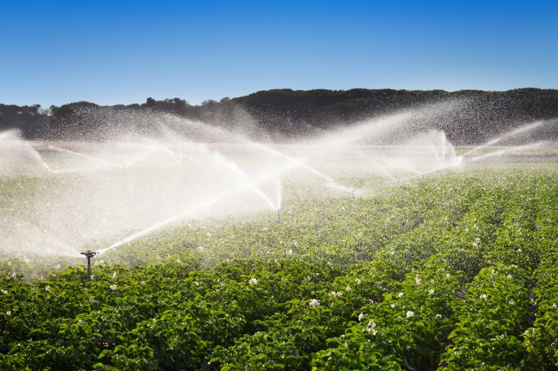 Mist Irrigation Installation in Honolulu, HI